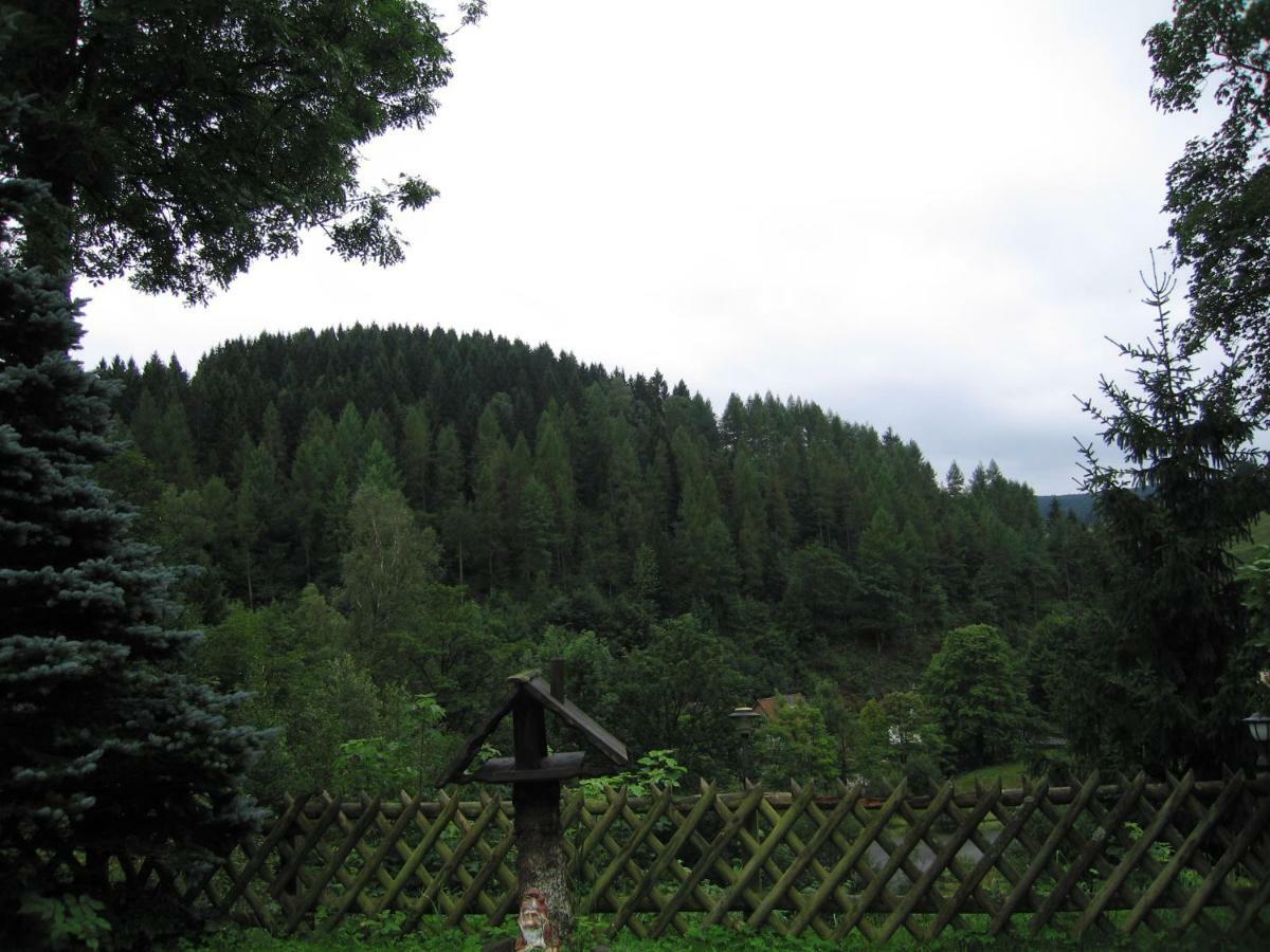 Pension Haus Vogelsang Wildemann Exteriér fotografie