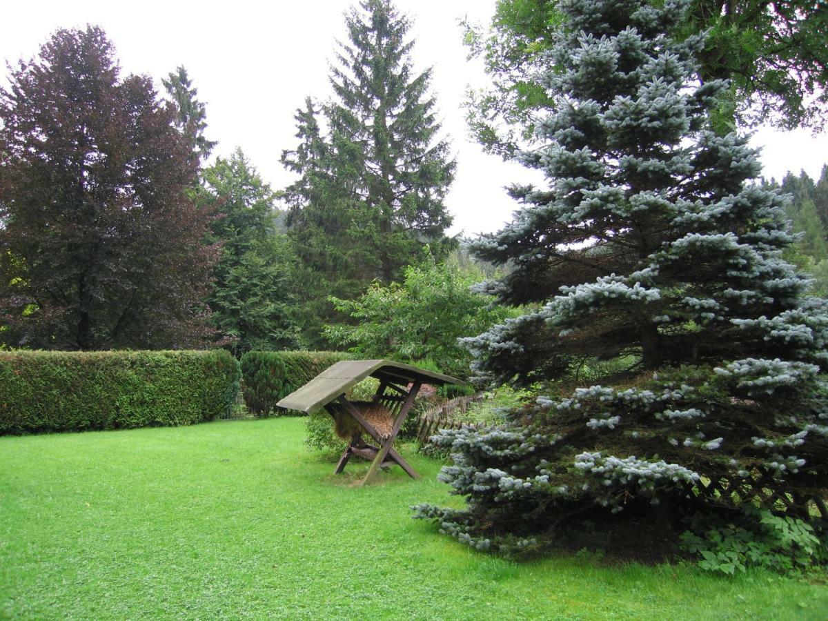 Pension Haus Vogelsang Wildemann Exteriér fotografie