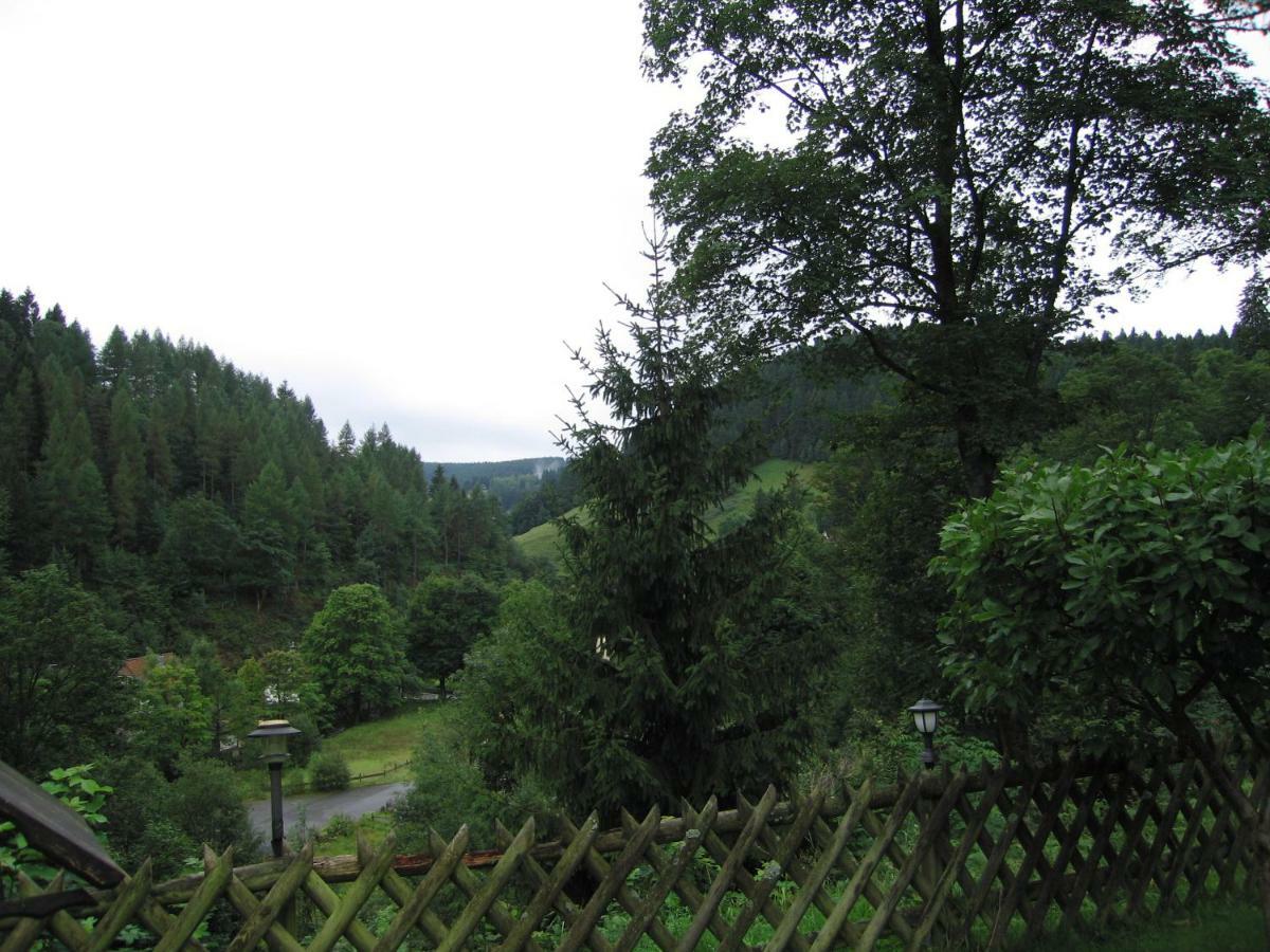 Pension Haus Vogelsang Wildemann Exteriér fotografie