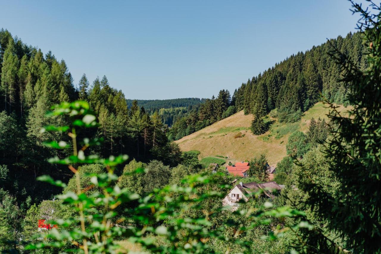 Pension Haus Vogelsang Wildemann Exteriér fotografie