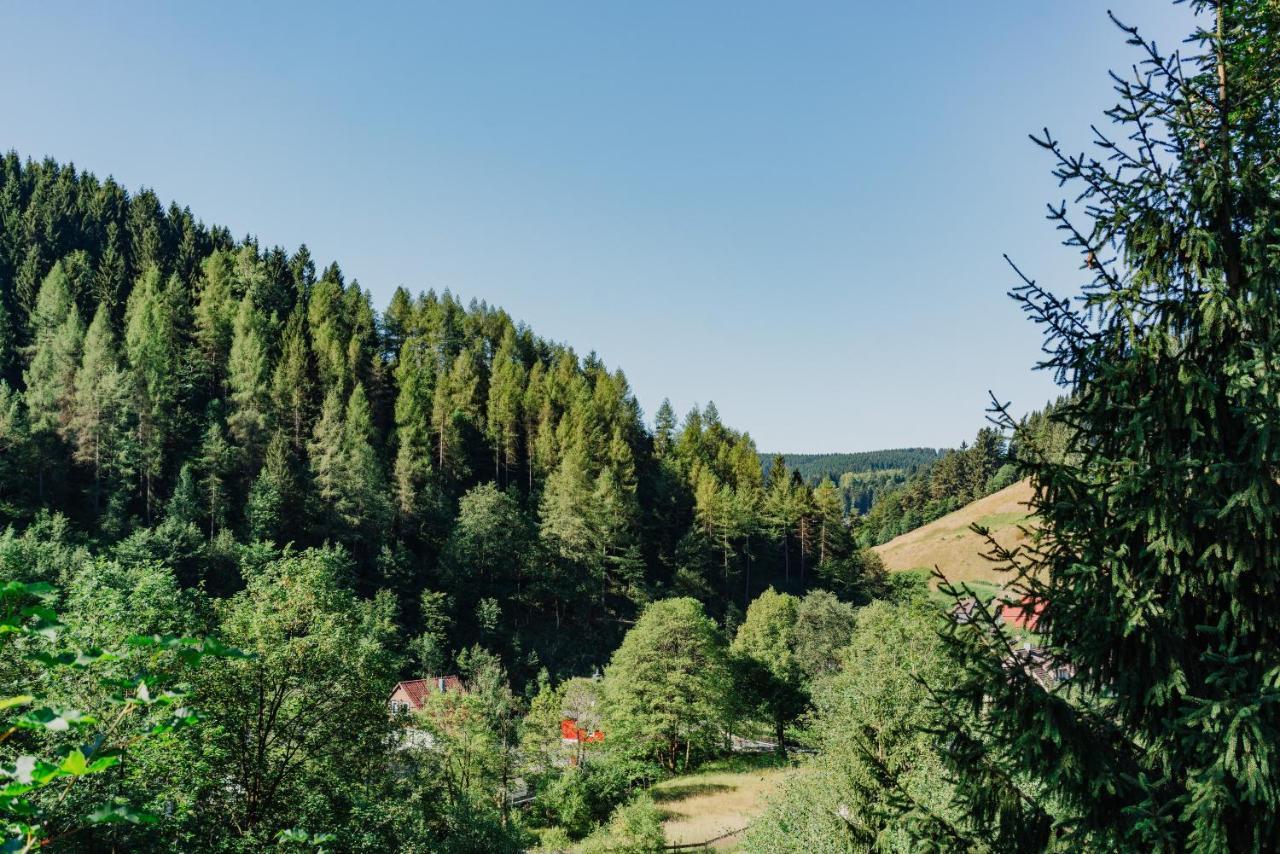 Pension Haus Vogelsang Wildemann Exteriér fotografie